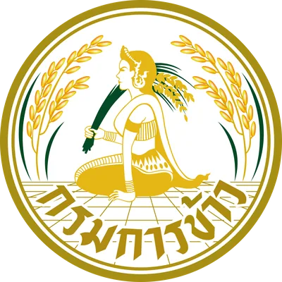 กรมการข้าว